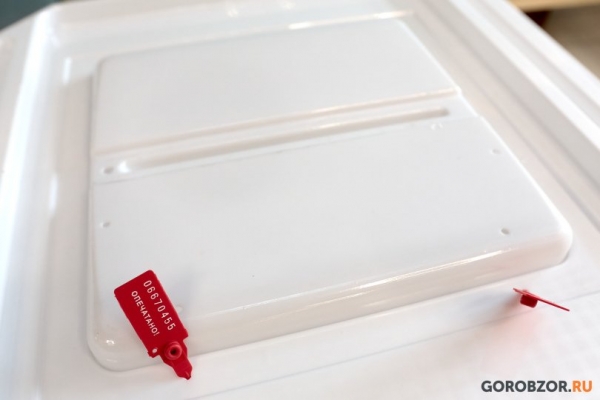 «Это моя гражданская позиция»: в Башкирии наблюдатели рассказали о своей работе 