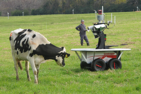В Уфе пройдет конкурс зоотехников-селекционеров В Уфе пройдет конкурс зоотехников-селекционеров