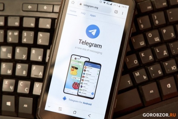 «Присылают много компромата друг на друга»: ТГ-канал «ПолитКурай» о деньгах, целях, авторах и дальнейших планах 