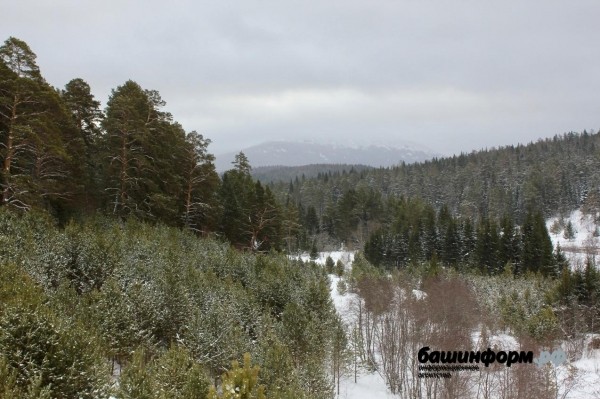 В Башкирии необходимо сформировать стратегию развития туризма - Туканова В Башкирии необходимо сформировать стратегию развития туризма - Туканова