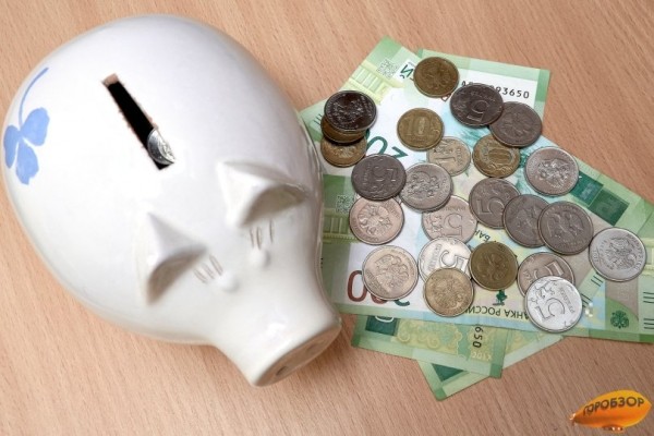 В Башкирии некоторые инвесторы получат до 30 млн рублей субсидий 