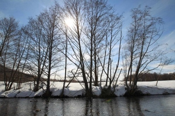 Глава Башкирии сообщил, что почувствовал приближение весны 