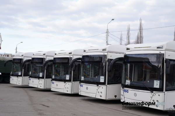 Уфа получила 10 новых троллейбусов марки «Горожанин» с автономным ходом Уфа получила 10 новых троллейбусов марки «Горожанин» с автономным ходом