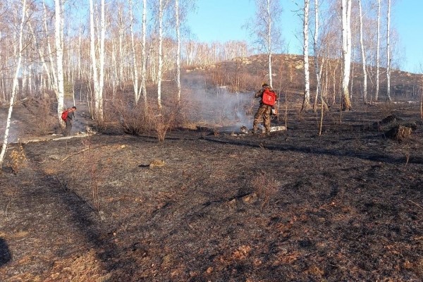 Радий Хабиров: Вводим в Башкирии особый противопожарный режим   Радий Хабиров: Вводим в Башкирии особый противопожарный режим