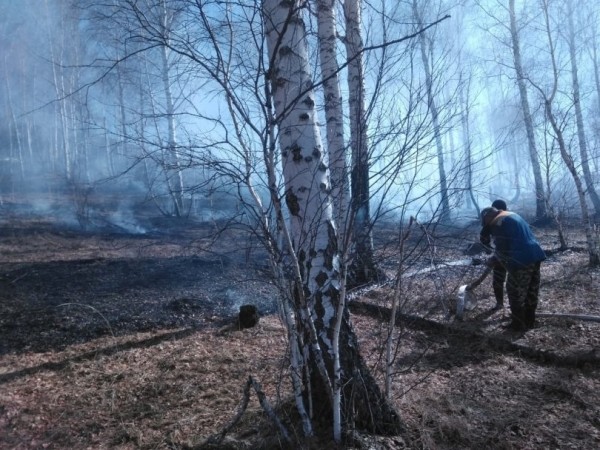В Башкирии экстренно введен особый режим 