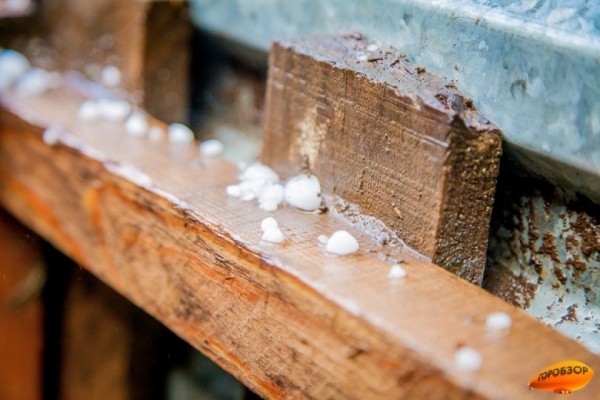 В Башкирии прогнозируется снег с дождем 