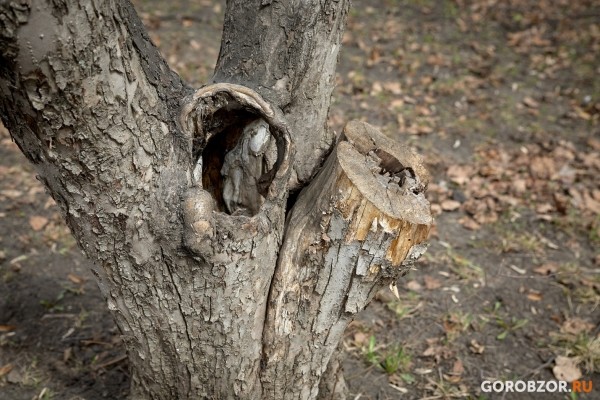 Заброшенные парки: почему жителям Уфы негде гулять 