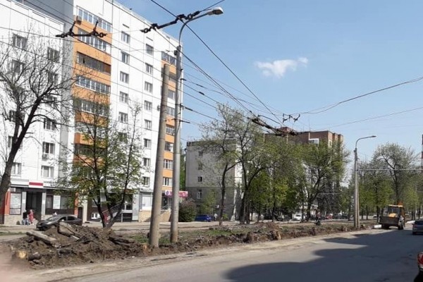 Мэрия Уфы прокомментировала вырубку деревьев на бульваре Ибрагимова 