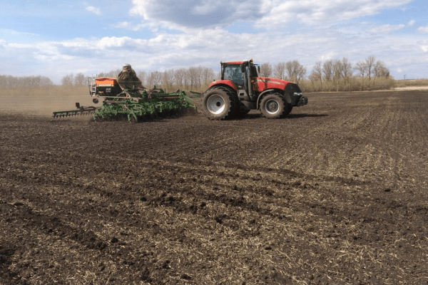 В Башкирии яровыми культурами засеяно более полумиллиона гектаров 