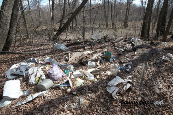 Кто рубит лес в Зауфимье: местные жители бьют тревогу