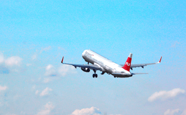 Летевший из Челябинска самолет экстренно сел в Уфе