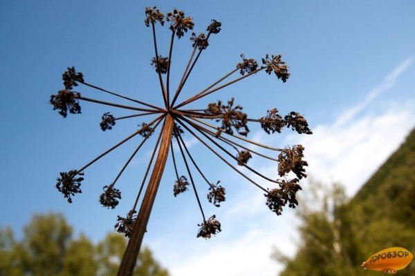 МЧС предупреждает жителей Башкирии об опасной погоде МЧС предупреждает жителей Башкирии об опасной погоде