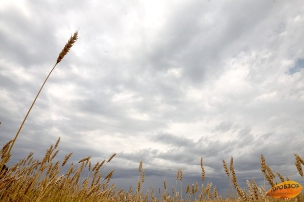 В Башкирии объявлено штормовое предупреждение 