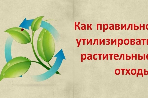 В Уфе оборудованы площадки для сбора растительных отходов  В Уфе оборудованы площадки для сбора растительных отходов