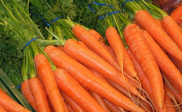 Цены на морковь в Башкирии за полгода выросли на 321% Цены на морковь в Башкирии за полгода выросли на 321%