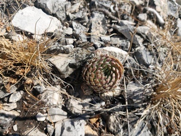 Где можно отдохнуть с семьей в Башкирии?    Где можно отдохнуть с семьей в Башкирии?