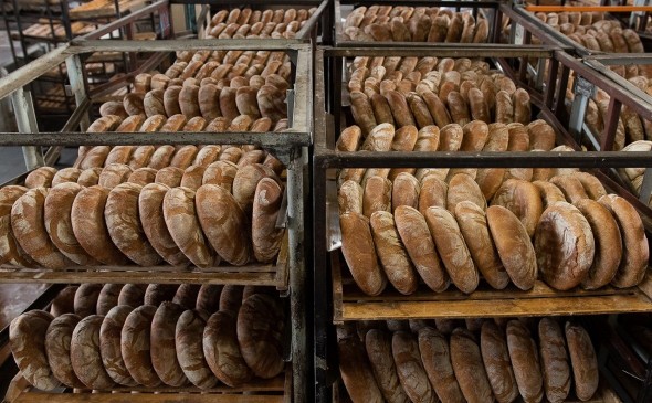 «Уфимский хлеб» приобрел имущество ишимбайского хлебокомбината за 27 млн «Уфимский хлеб» приобрел имущество ишимбайского хлебокомбината за 27 млн