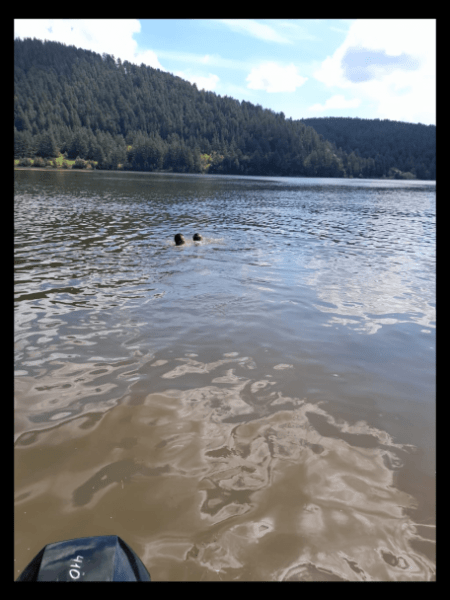 В Башкирии спасли утопающего во время профилактического рейда В Башкирии спасли утопающего во время профилактического рейда