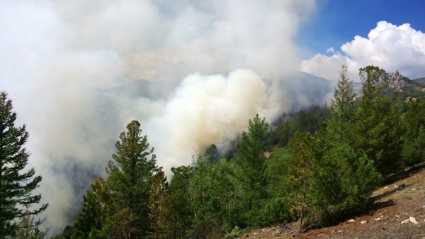 ГУМЧС по Башкирии: большая часть лесных пожаров ликвидирована