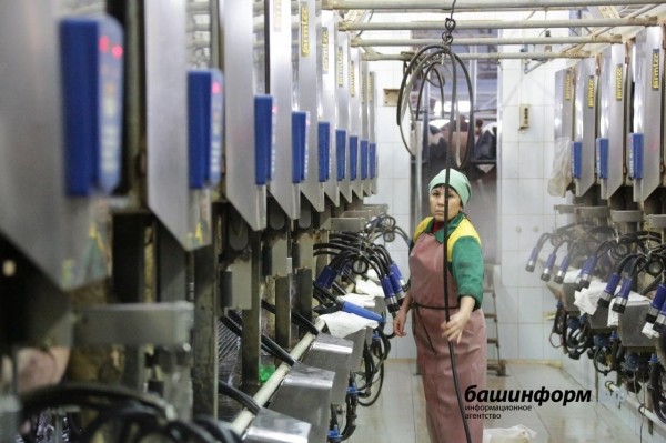 Стало известно, кто в Уфе получает зарплату больше остальных и почему