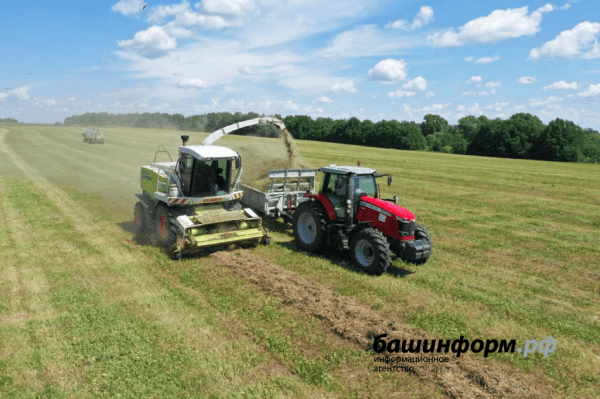 Аграрии Башкирии заготовили более 75% сена, заложили 63% сенажа 