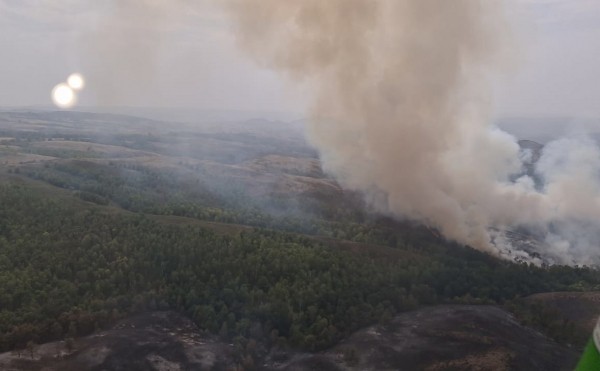 Крупные компании присоединятся к тушению пожаров на юге Башкирии Крупные компании присоединятся к тушению пожаров на юге Башкирии