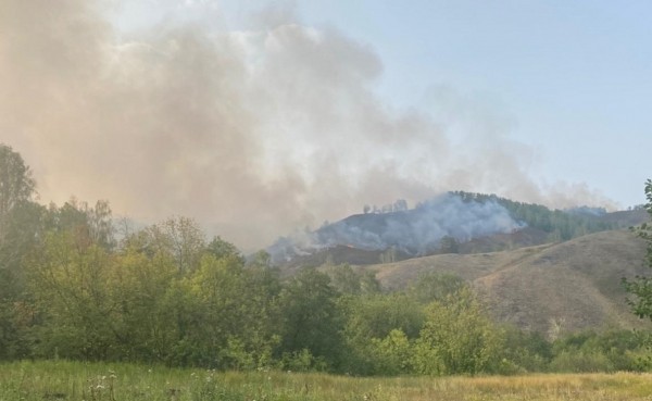 Площадь лесных пожаров в Башкирии составила 3,8 тысячи гектаров