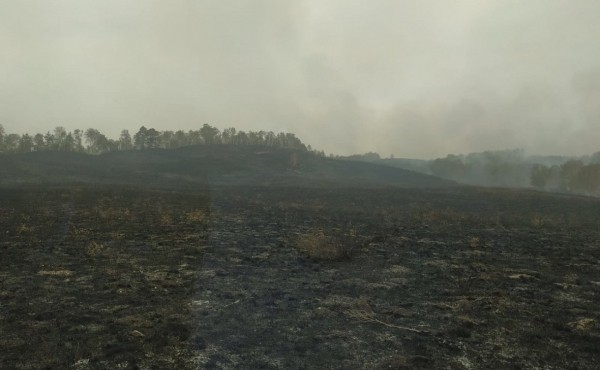 В Башкирии из-за степного пожара эвакуировали детский лагерь