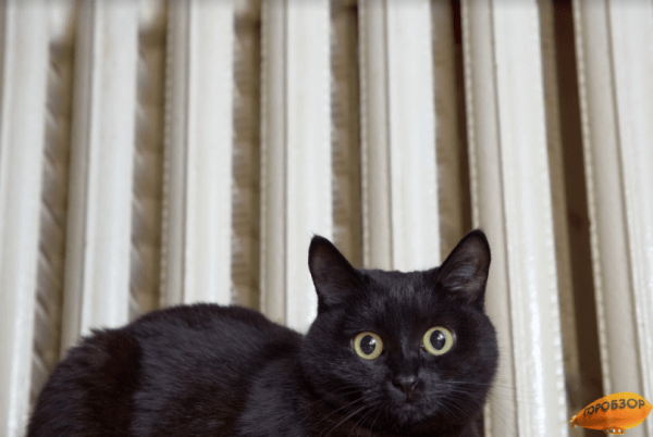 Жители Башкирии потратили на коммунальные услуги в 2021 году 30,4 млрд рублей  Жители Башкирии потратили на коммунальные услуги в 2021 году 30,4 млрд рублей