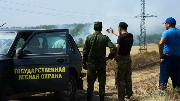 Площадь лесных пожаров в Башкирии увеличилась с 2,7 до 3,3 тысячи гектаров