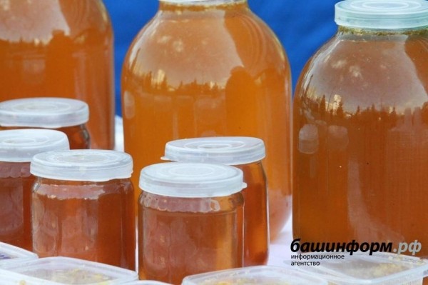 В Башкирии в меде из Волгограда обнаружили антибиотики В Башкирии в меде из Волгограда обнаружили антибиотики