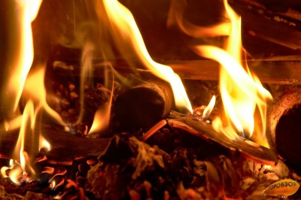 В Башкирии за сутки зарегистрирован один лесной пожар В Башкирии за сутки зарегистрирован один лесной пожар