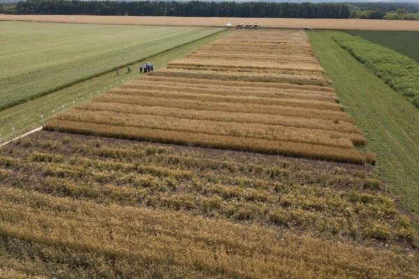 В Башкирии с конца июля количество договоров агрострахования выросло на 26% В Башкирии с конца июля количество договоров агрострахования выросло на 26%