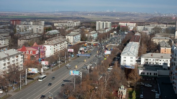 Волк, который бегал на детской площадке в Уфе, умер от полученных при отлове травм Волк, который бегал на детской площадке в Уфе, умер от полученных при отлове травм