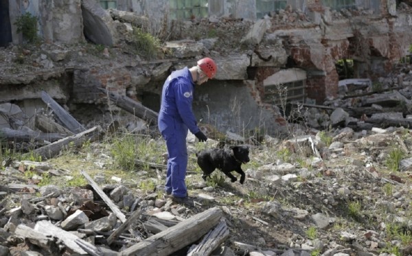 В Башкирии спасателей освободят от ответственности за ущерб при ЧС В Башкирии спасателей освободят от ответственности за ущерб при ЧС