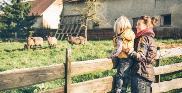 Россельхозбанк научит фермеров развивать агротуризм  Россельхозбанк научит фермеров развивать агротуризм