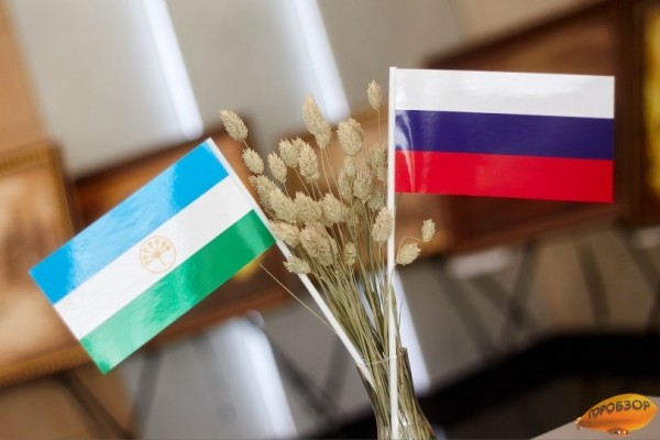 В Общественную палату Башкирии вошли Альбина Касимханова и Азамат Янбердин
 