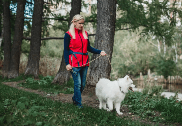 Стоит ли заводить питомца?  Стоит ли заводить питомца?