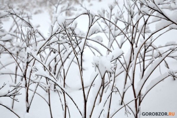 В Башкирии из-за метели заблудились два рыбака 