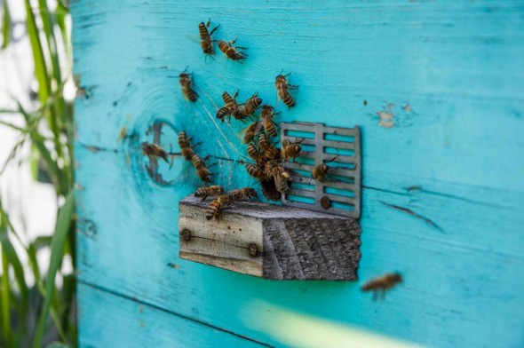 В Башкирии определились с условиями реализации инвестпроекта «Би Хэппи» В Башкирии определились с условиями реализации инвестпроекта «Би Хэппи»