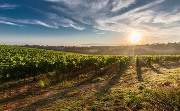 
                    Башкирия вошла в число регионов, где создадут карбоновые полигоны
                    
                