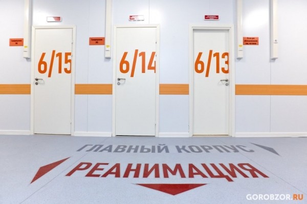 В Башкирии за сутки выявили 902 носителя COVID-19 