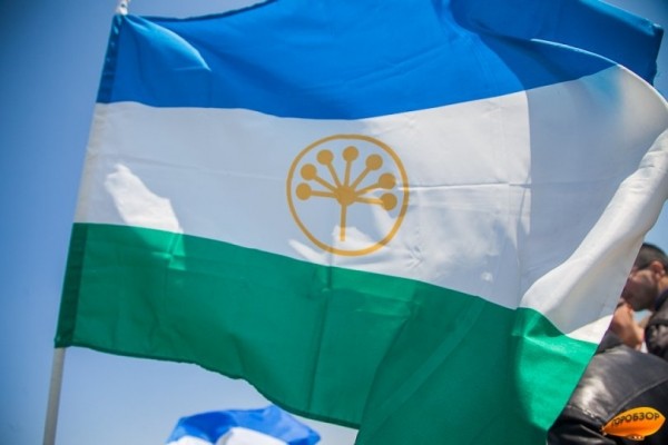 В Башкирии МФЦ запустил чат-бот для информационного сопровождения жителей В Башкирии МФЦ запустил чат-бот для информационного сопровождения жителей