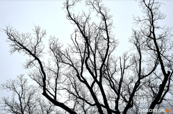 В МЧС предупредили об ухудшении погоды в Башкирии  В МЧС предупредили об ухудшении погоды в Башкирии