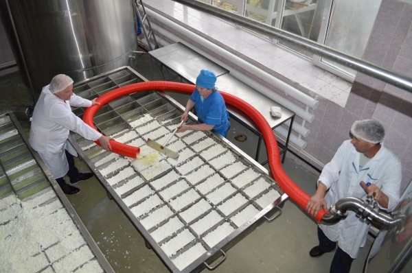 
                    В Башкирии начали производство сырья для моцареллы

                