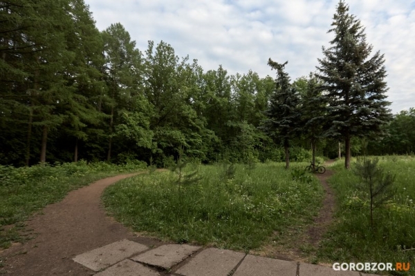 «Важно, чтобы Уфа становилась лучше»: спортсмен Владислав Литвинчук высказался о реконструкции парка Лесоводов 