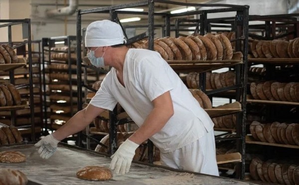 
                    Производство хлеба в Башкирии в 2021 году выросло почти в два раза

                