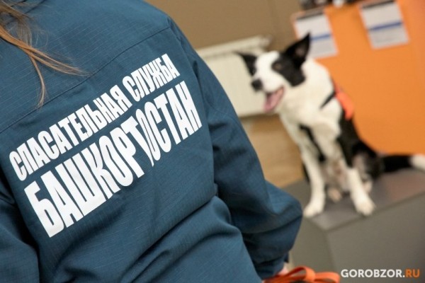 Спасатели вытащили из реки мужчину и женщину 