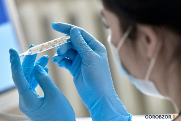 В Башкирии 4195 человек пострадали от укуса клещей В Башкирии 4195 человек пострадали от укуса клещей