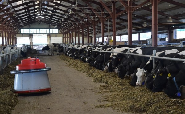 
                    Инвестпроект «Башкирский лимузин» получил статус приоритетного

                